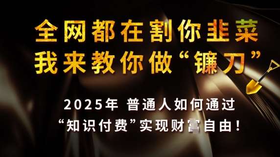 全网都在割你韭菜，我来教你做镰刀，2025普通人如何通过知识付费，实现财F自由【揭秘】-千寻创业网