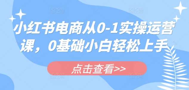 小红书电商从0-1实操运营课，0基础小白轻松上手-千寻创业网