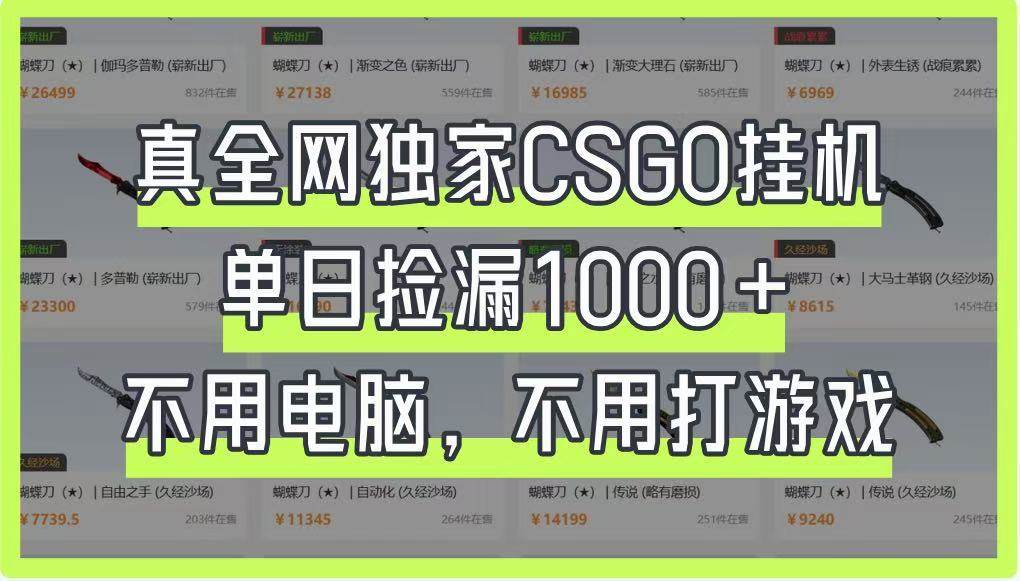 真全网独家CSGO挂机，单日捡漏1000+，不用电脑，不用养号-千寻创业网
