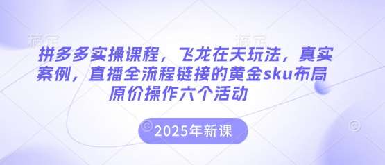 拼多多实操课程，飞龙在天玩法，真实案例，直播全流程链接的黄金sku布局原价操作六个活动-千寻创业网