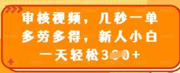 审核视频，几秒一单，多劳多得，新人小白一天轻松3张【揭秘】-千寻创业网
