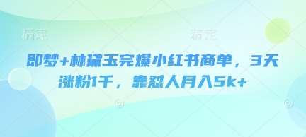 即梦+林黛玉完爆小红书商单，3天涨粉1千，靠怼人月入5k+-千寻创业网