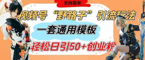 视频号“野路子”玩法，评论区疯狂截流，一套模板单日单号引流50+创业粉-千寻创业网