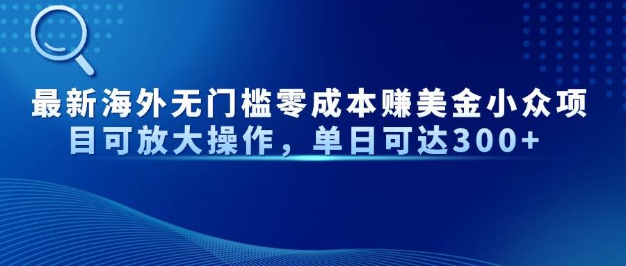 （14542期）最新海外无门槛零成本赚美金小众项目可放大操作，单日可达300+-千寻创业网