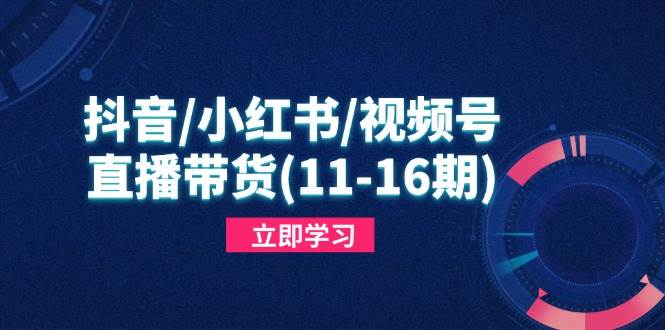 （14611期）抖音/小红书/视频号/直播带货(11-16期)，快速掌握平台规则，打造爆款内容-千寻创业网