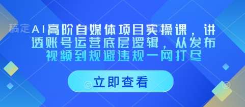 AI高阶自媒体项目实操课，讲透账号运营底层逻辑，从发布视频到规避违规一网打尽-千寻创业网