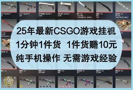 25年最新CSGO游戏挂G，1分钟1件货，1件货挣10元，纯手机操作，无需游戏经验【揭秘】-千寻创业网