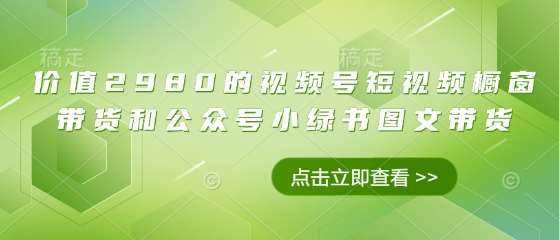 价值2980的视频号短视频橱窗带货和公众号小绿书图文带货-千寻创业网