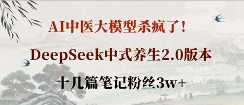 AI中医大模型杀疯了！DeepSeek中式养生2.0版本，十几篇笔记粉丝3w+-千寻创业网