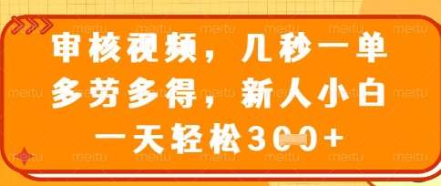 最新审核视频，几秒一单，多劳多得，新人小白一天轻松3张【揭秘】-千寻创业网