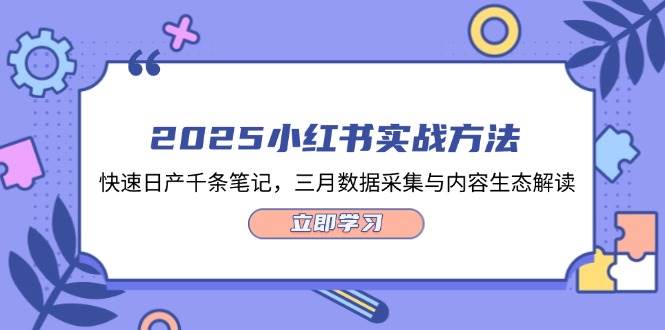 （14347期）2025小红书实战方法，快速日产千条笔记，三月数据采集与内容生态解读-千寻创业网