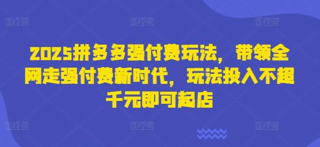 2025拼多多强付费玩法，带领全网走强付费新时代，玩法投入不超千元即可起店-千寻创业网
