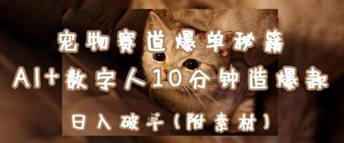 宠物赛道爆单秘籍：AI+数字人10分钟造爆款，日入1k-千寻创业网