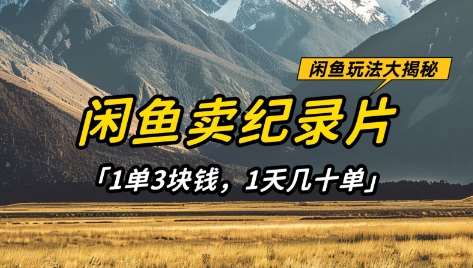 闲鱼卖纪录片1单3块钱，1天几十单，项目稳定有潜力-千寻创业网