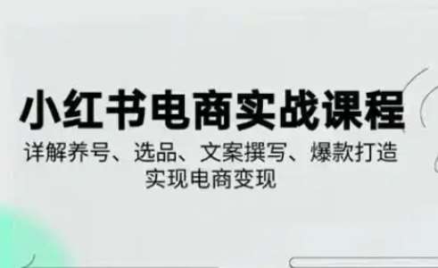 小红书从0-1实操课(2023-2025)，详解养号、选品、文案撰写、爆款打造实现电商变现-千寻创业网