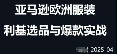 跨境电商选品案例24-25年，聚焦跨境电商选品策略与运营优化，助力卖家挖掘蓝海市场-千寻创业网