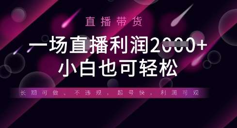 半无人直播带货，一场利润数张，适合所有平台玩法，小白也可轻松-千寻创业网