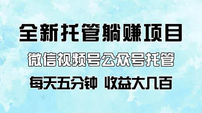 （14425期）全新托管躺赚项目，微信视频号公众号托管代运营，每天五分钟，收益大几百-千寻创业网