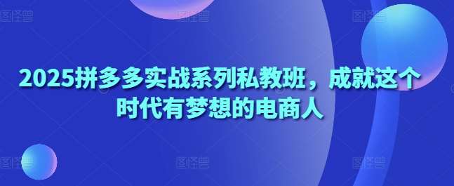 2025拼多多实战系列私教班，成就这个时代有梦想的电商人-千寻创业网