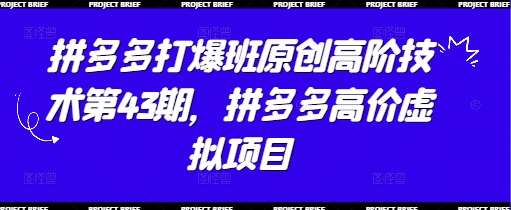 拼多多打爆班原创高阶技术第43期，拼多多高价虚拟项目-千寻创业网