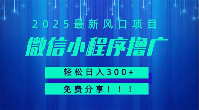 （14375期）微信小程序撸广，最新风口项目，日入300+ 免费分享 可批量操作 小白可…-千寻创业网