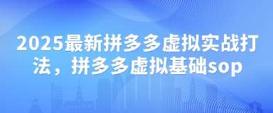 2025最新拼多多虚拟实战打法，拼多多虚拟基础sop-千寻创业网