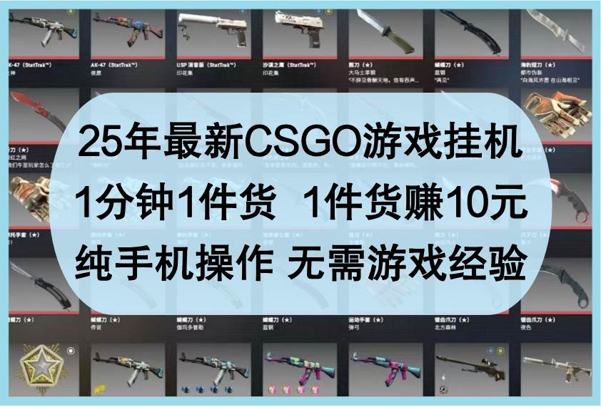 25年最新CSGO游戏挂机，1分钟1件货，1件货赚10元，纯手机操作，无需游戏经验-千寻创业网