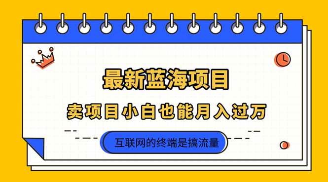 （14289期）2025年最新蓝海项目，卖项目小白也能月入过万-千寻创业网