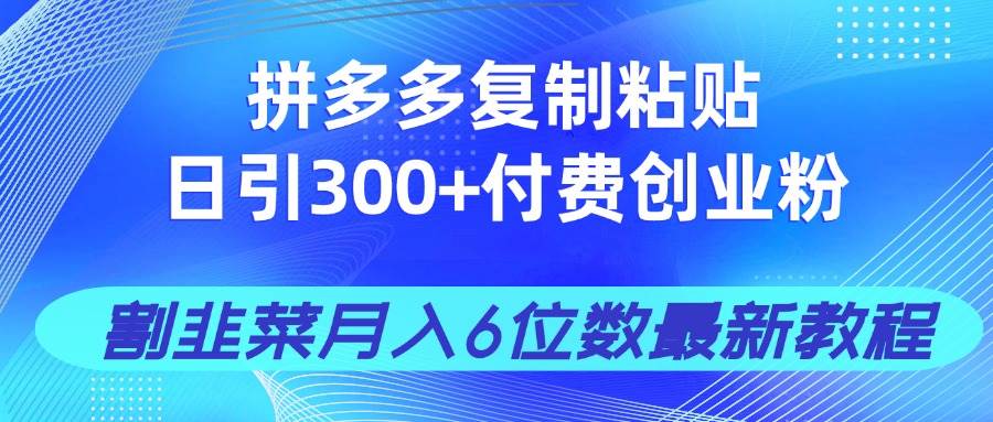 （14232期）拼多多复制粘贴日引300+付费创业粉，割韭菜月入6位数最新教程！-千寻创业网