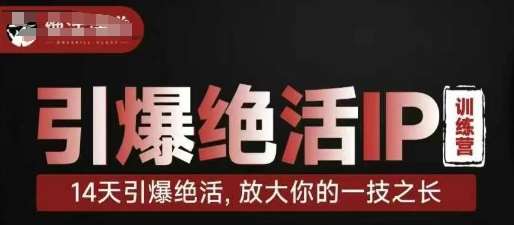 引爆绝活IP训练营，14天引爆绝活，放大你的一技之长-千寻创业网