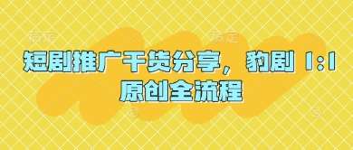 短剧推广干货分享，豹剧 1:1原创全流程-千寻创业网