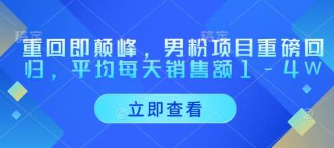 重回即颠峰，男粉项目重磅回归，平均每天销售额1-4W-千寻创业网