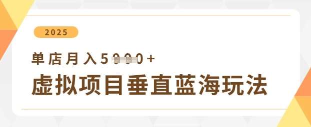 虚拟项目垂直玩法，实现单店月入5k+-千寻创业网