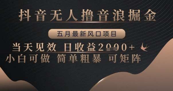 抖音无人撸音浪掘金，五月最新风口项目，当天见效，日收益多张，小白可做简单粗暴可矩阵【揭秘】-千寻创业网