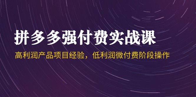 （14874期）拼多多强付费实战课-44期，高利润产品项目经验，低利润微付费阶段操作-千寻创业网