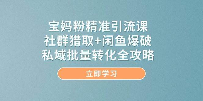 宝妈粉精准引流课，社群猎取+闲鱼爆破，私域批量转化全攻略-千寻创业网