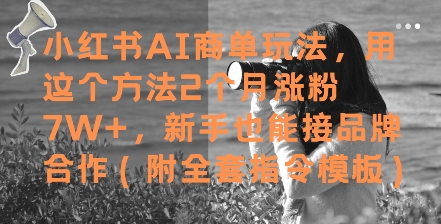 小红书AI商单玩法，用这个方法2个月涨粉7W+，新手也能接品牌合作(附全套指令模板)-千寻创业网