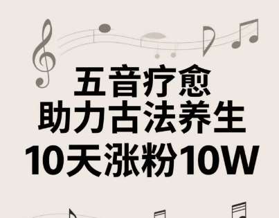 古法五音养生教程，五音疗愈的视频的制作方法，2-4小时就能学会，作者10天涨粉10W-千寻创业网