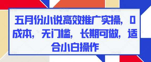 五月份小说高效推广实操，0成本，无门槛，长期可做，适合小白操作-千寻创业网