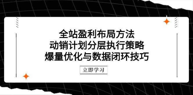 （14698期）全站盈利布局方法：动销计划分层执行策略，爆量优化与数据闭环技巧-千寻创业网