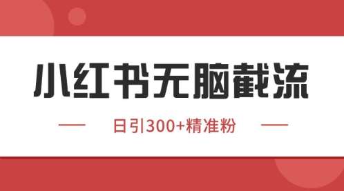 小红书只要你有同行就能获客，独家野路子获客玩法，暴力截流【揭秘】-千寻创业网