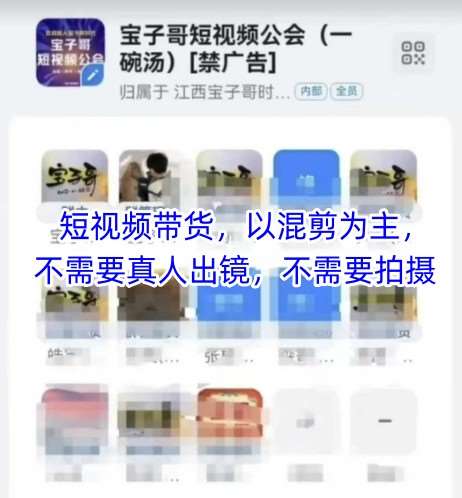 宝子哥头部团队短视频带货，以混剪为主，不需要真人出镜，不需要拍摄-千寻创业网