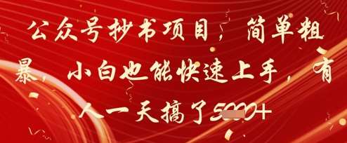 公众号抄书项目，简单粗暴，小白也能快速上手，有人一天搞了1k+-千寻创业网
