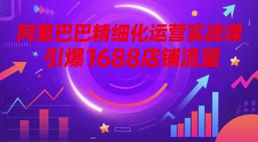 阿里巴巴精细化运营实战课，引爆1688店铺流量-千寻创业网