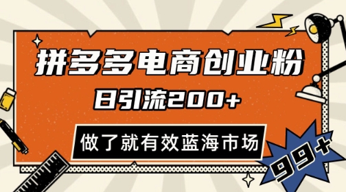 拼多多引流电商创业粉，日引200+，可矩阵放大，做了就有效【揭秘】-千寻创业网
