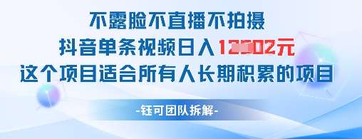 不露脸不直播不拍摄抖音单条视频日入1k+这个项目适合所有人长期积累的项目-千寻创业网