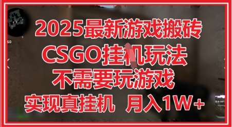 2025最新游戏搬砖，CSGO挂G，不需要玩游戏，实现真挂G，月入1W+【揭秘】-千寻创业网