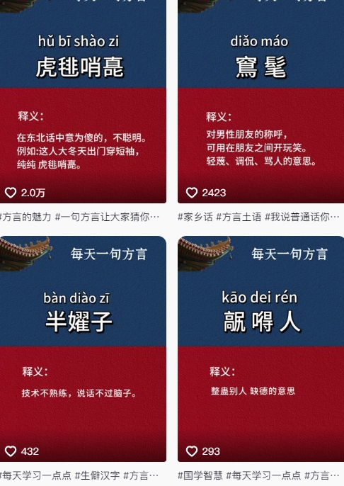 图片[2]-抖音最新涨粉玩法，图文方言暴力涨粉实操，126作品涨粉11W-千寻创业网