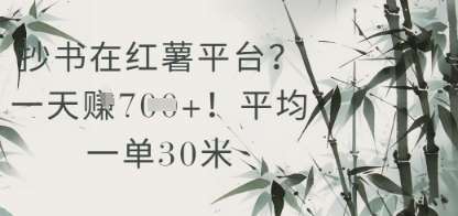 抄书在小红薯平台？平均一单30米，一天收益几张！-千寻创业网
