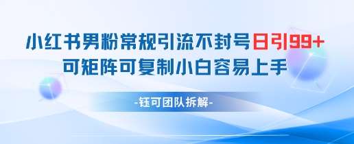 小红书男粉常规引流不封号日引99+变现简单 可矩阵可复制小白容易上手-千寻创业网